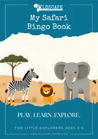 Cover of the Safari Bingo Book